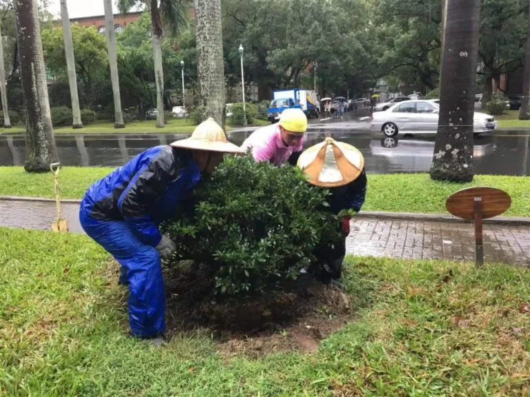 2019.12