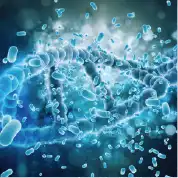光學生物學