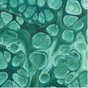 微生物與病理學