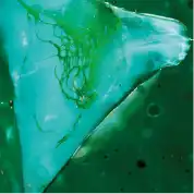 發育生物學