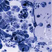 細胞生物學